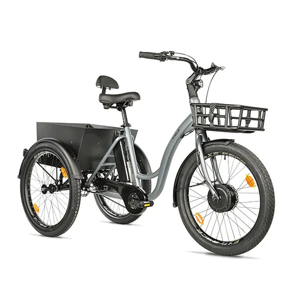 Tricycle à Assistance Électrique Premium